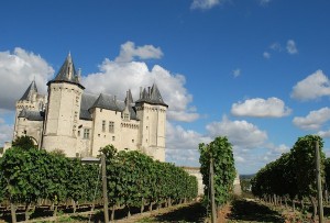 Image of vineyards by Chateau Saumur